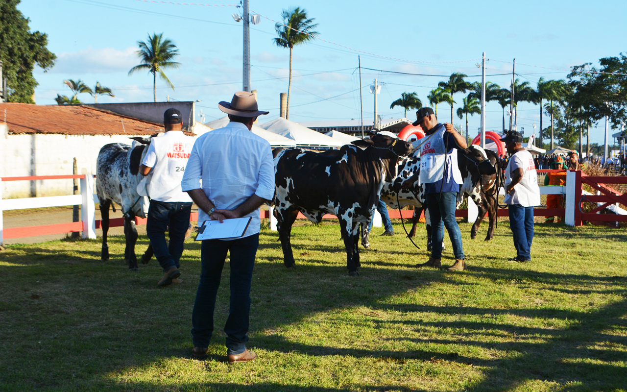 Foto: Reprodução/Prefeitura de Feira de Santana - BA